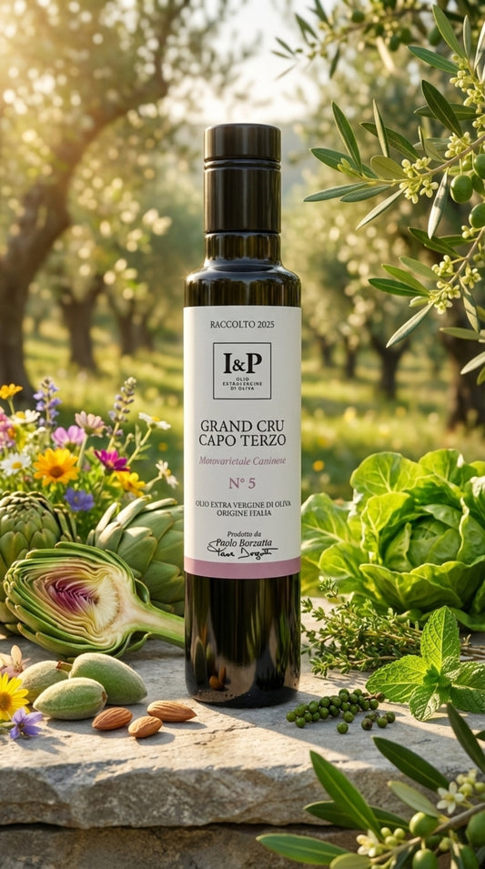 N°5 - Grand Cru Capo Terzo - Monocultivar Caninese